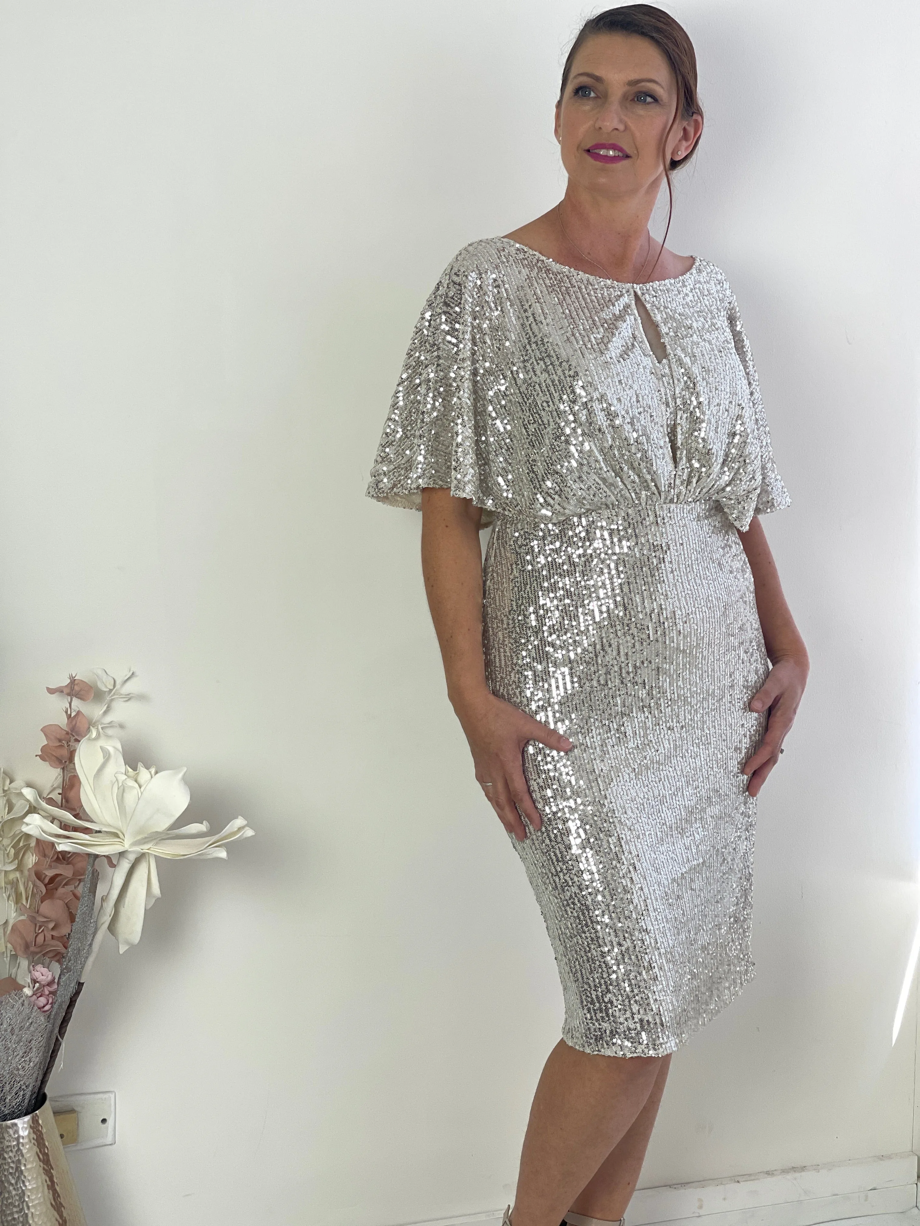 Aldoga Silver Sequin Dress
