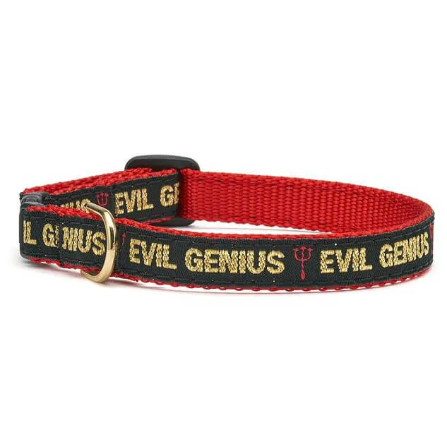 Up Country Cat Collar Evil Genius