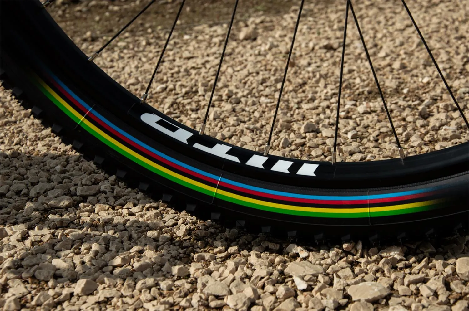 Vittoria 29" Barzo UCI edition TLR