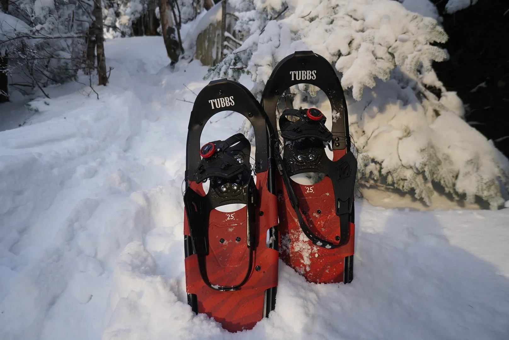 Wayfinder Snowshoes (Men's)